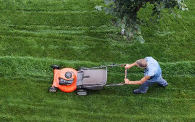 Why We Should Choose The Gardening?